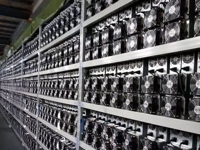 Large-scale mining farm hosting multiple Canaan miners