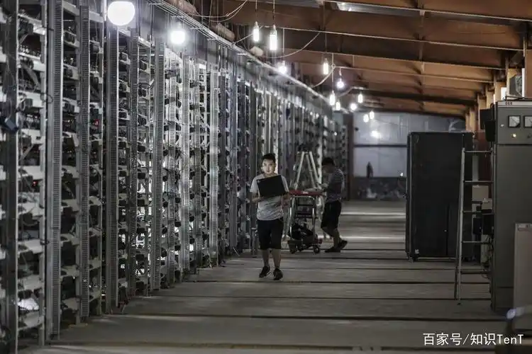 A vibrant and expansive mining farm bustling with activity