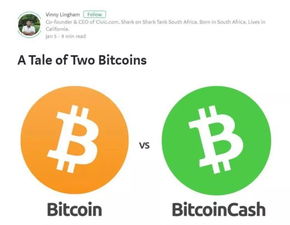 A modern mining rig setup, highlighting the advanced components expected in 2025 for efficient Bitcoin and other crypto mining