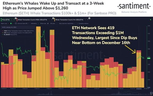 Ethereum mining operations in focus